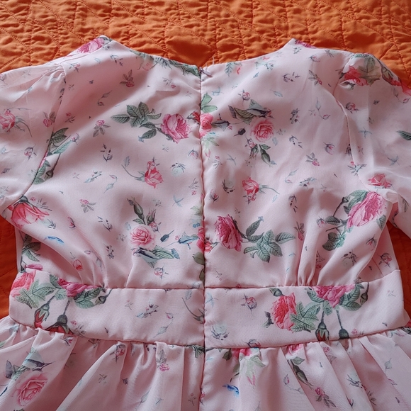 Lacuna- Balloon Sleeve Floral Print Chiffon Dress - Picture 7 of 8